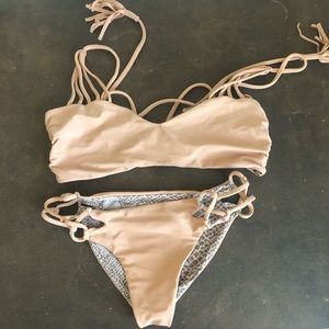 Acacia bikini